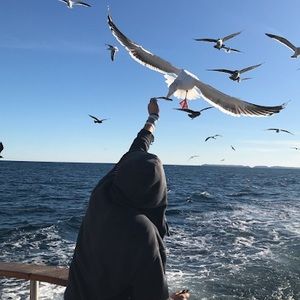 Meet your Posher, Hailey